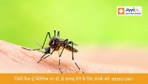 Dengue - Common Causes, Symptoms, and Treatment