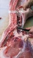 Master in the folk - How To Butcher A Pig
