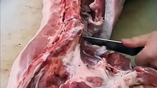 Master in the folk - How To Butcher A Pig