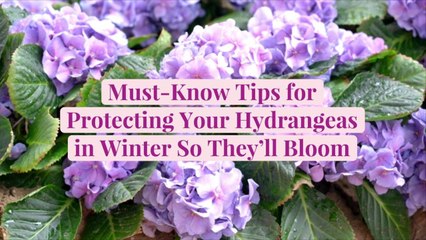 Must-Know Tips for Protecting Your Hydrangeas in Winter So They'll Bloom