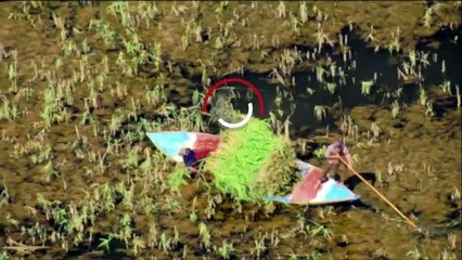 ...خاصة لأن المرأة يبحث عن سلعة طويلة الأمد...