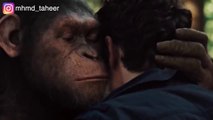 تجربة بتخلي القرود أذكى من البشر وبيقرروا يسيطروا على الكوكب The Planet of The Apes