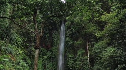 Wildlife Beautiful Nature With Relaxing Music 4K