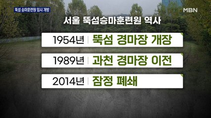 서울에 승마장이?…뚝섬 승마훈련원 7년 만에 임시 개방