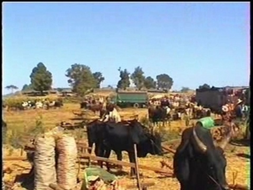 EJEMA