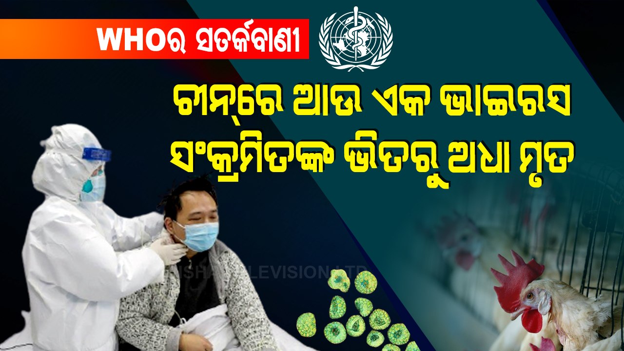 Special Story | Highly Pathogenic Virus Triggers Havoc In China