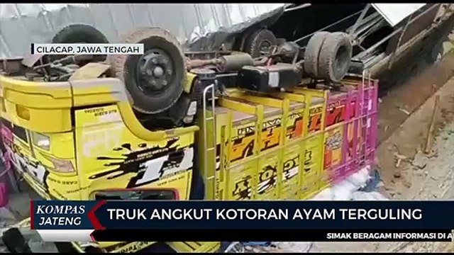 Truk Angkut Kotoran Ayam Terguling