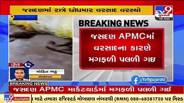 Rajkot_ Heavy rain lashed Jasdan last night, groundnut kept in open place at APMC damaged _ TV9News
