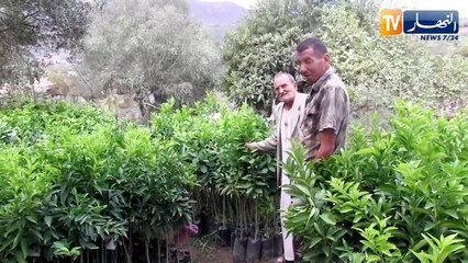 سكيكدة: بشير بوعيطة.. رجل قضى حوالي نصف قرن في تشتيل كل أنواع الأشجار