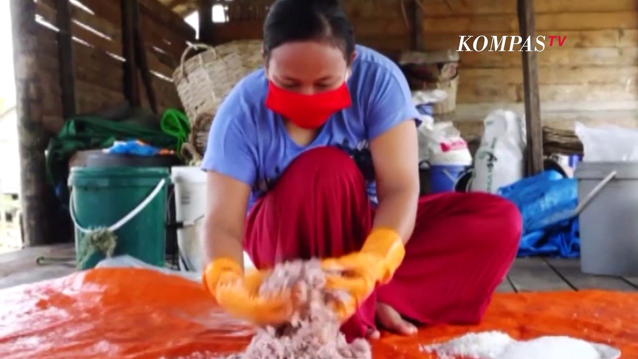 Mengenal Cincalok, Makanan Fermentasi Kaya Gizi