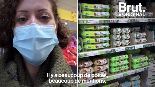 Élevage en cage ou en plein air : comment choisir ses œufs ?