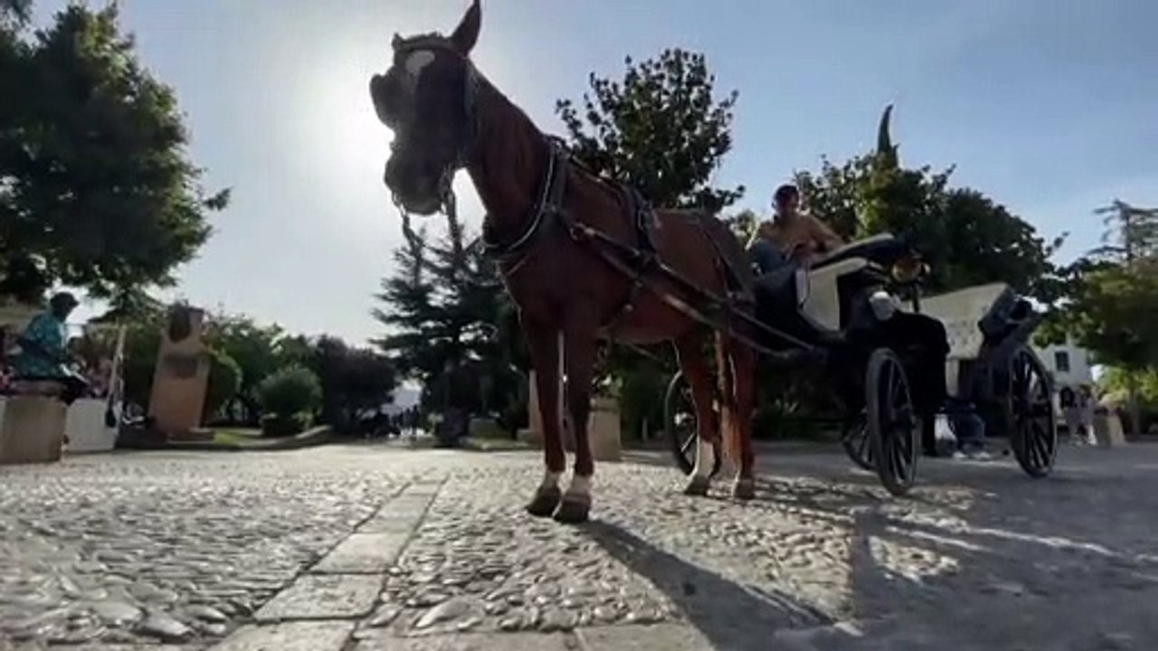 Sunspots seen in Spain as geomagnetic storm expected to reach Earth