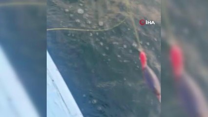 Pendik'te balıkçıların oltasına takılan yapışkan madde tedirgin etti