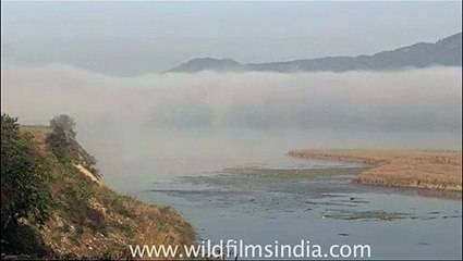 Ramganga River in Uttaranchal, India
