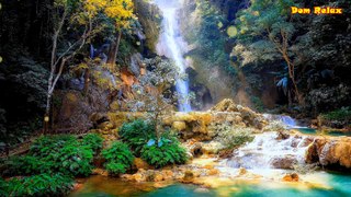 Relaxing Music For Meditation Calm Background - Studying, Yoga, Sleep, Stress Relief, Massage, Spa