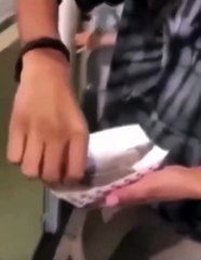 memberi anjing laut makan #shorts #short #shortvideo