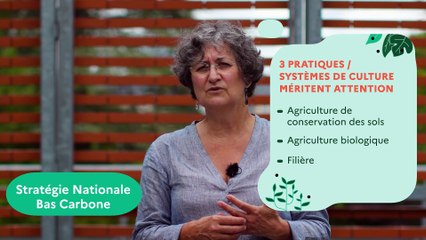 Agriculture de conservation, agriculture biologique, méthanisation : quels effets sur les stocks de carbone ?