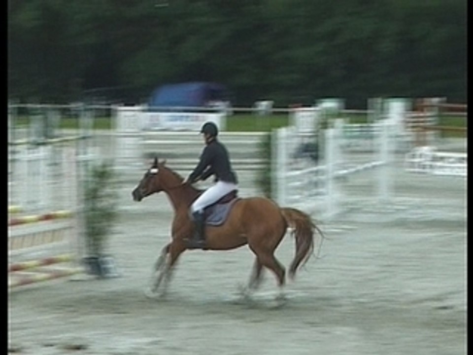Perelan Ar Park - Vidéo CSO Le Lion d'Angers 2007-07-12