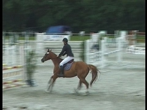 Perelan Ar Park - Vidéo CSO Le Lion d'Angers 2007-07-12