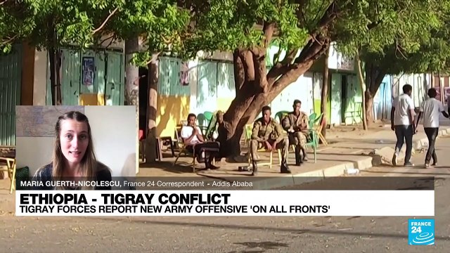 Tigray rebels report new Ethiopian army offensive 'on all fronts'