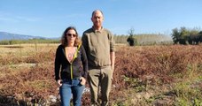 Ce couple d'agriculteurs se fait voler plus de 4 000 courges, des clients se mobilisent pour les soutenir