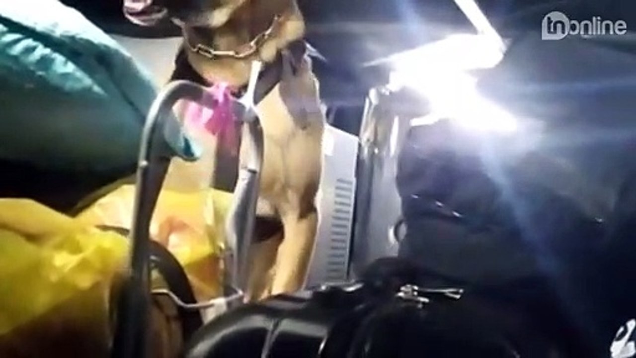 Apreensão de drogas