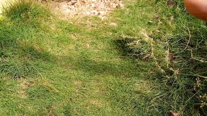 Menemukan Kereta Api Thomas And Friends