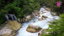 15 Minute Nice Relaxation Music for Stress-Relief | River | Forest | Water | Positive Energy | Slow | Instrumental | Anti-Depression | Soothing | Sleep