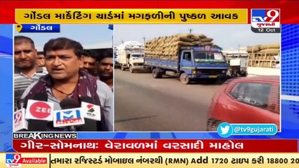 Heavy inflow of groundnut at Gondal Marketing yard, rates likely to increase _ Rajkot _ TV9News