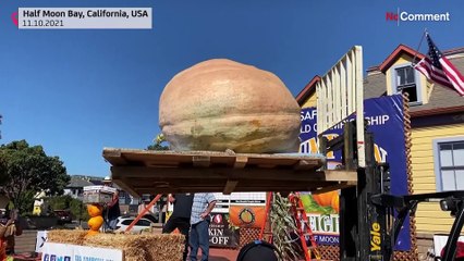 В США дали приз самой тяжёлой тыкве