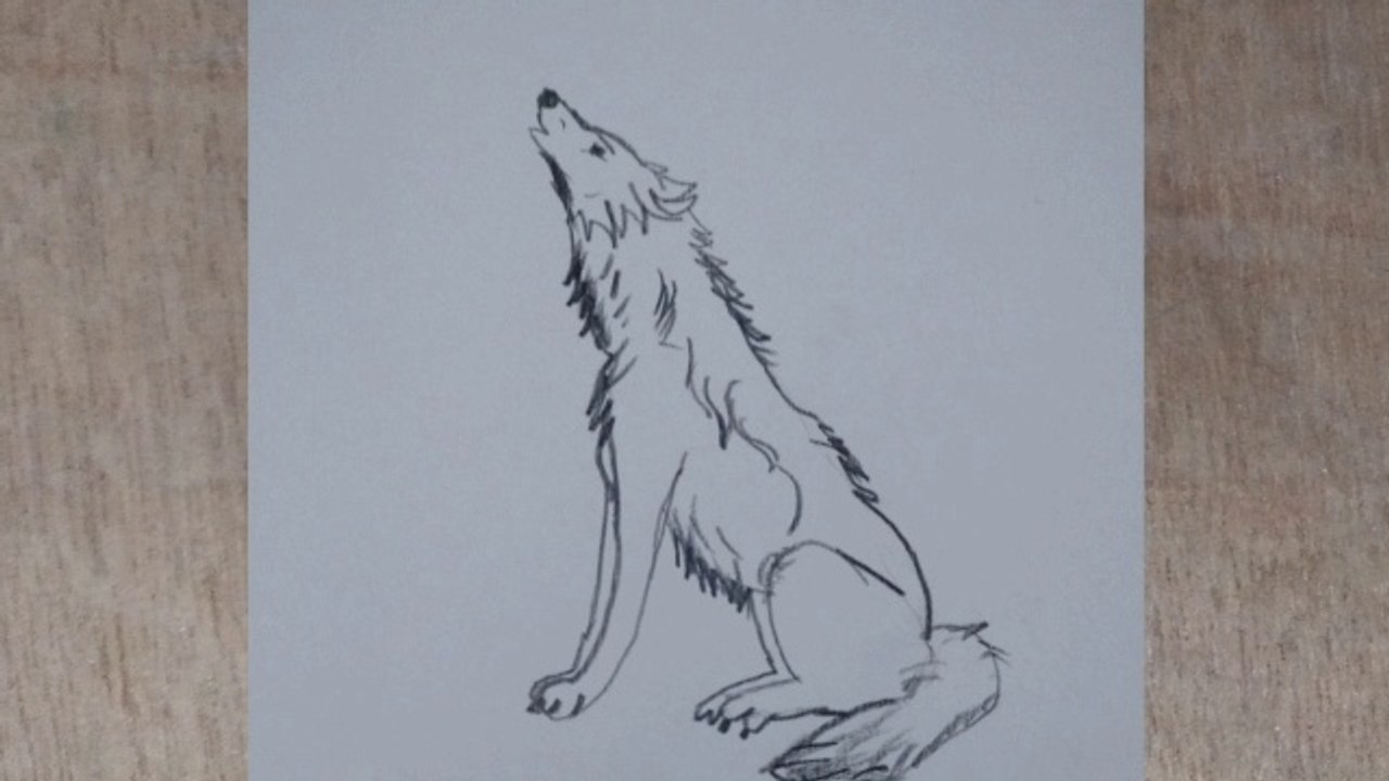 How to draw a Wolf by pencil