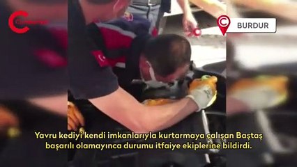 Otomobilin motoruna giren yavru kedi güçlükle çıkartıldı