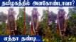 Anaconda in Tamilnadu ? Viral video| Oneindia Tamil