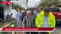 Milas’ta fırtına ağaçları devirdi, çatıları uçurdu