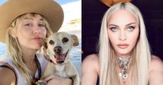 Miley Cyrus, Madonna y otras famosas que mostraron sin miedo sus axilas con vellos