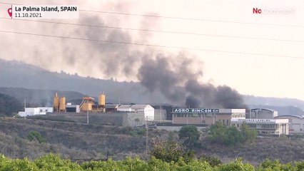 Vulkan auf La Palma: Lava erreicht Industrieanlagen