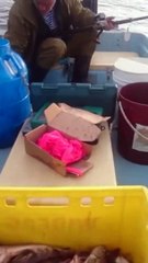 On appelle ça une pêche miraculeuse