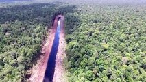 فشل اتفاق رئيسي للحد من إزالة الغابات يسلط الضوء على التحديات الجمة