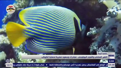 التغير المناخي والتنوع البيولوجي.. مبادرات وجهود مصرية لحماية الكوكب