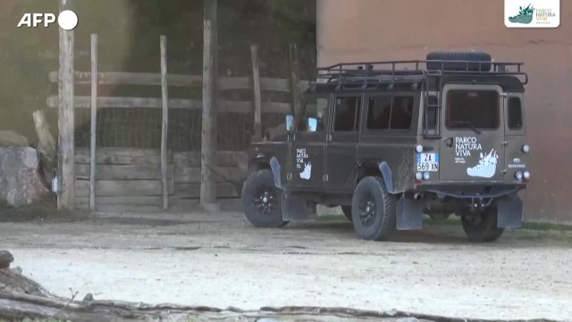 E' morto il rinoceronte bianco piu' vecchio al mondo