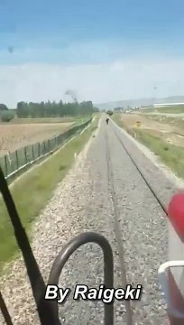 Un cheval qui galope sur une voie ferrée !