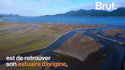 Comment les saumons remontent les rivières