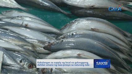 Kakulangan sa supply ng local na galunggong, dahilan umano ng taas-presyo sa naturang isda | Saksi