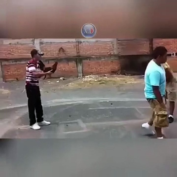 funny fight