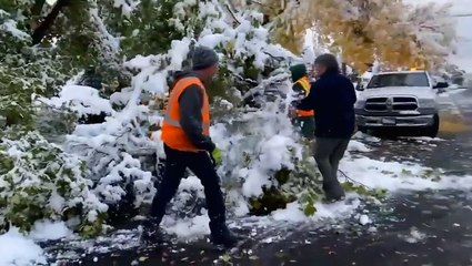 Early-season snowstorm brings tree down onto vehicle