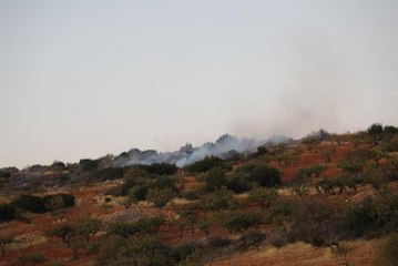Son dakika haberi | GAZİANTEP - Nizip'te makilik alanda çıkan yangın kısmen kontrol altına alındı