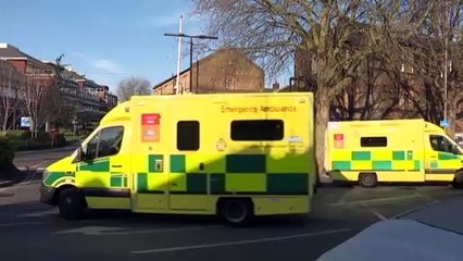 Mortes iniciais com Covid-19 podiam ter sido evitadas no Reino Unido