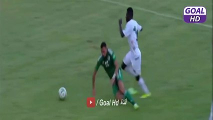 ملخص مباراة الجزائر و النيجر 4-0 - أهداف الجزائر اليوم - هدف رياض محرز اليوم