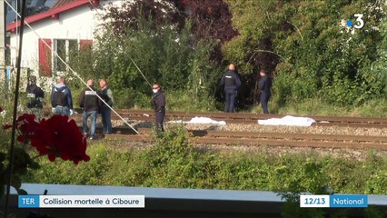 Pyrénées-Atlantiques : quatre personnes percutées par un TER