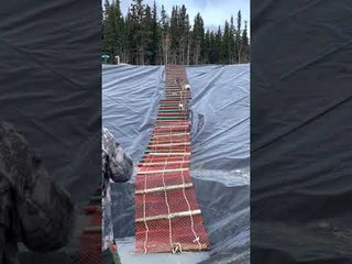 Deer Saved from Slippery Pit